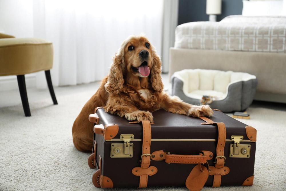 Capital One Hotel ボーンマス エクステリア 写真